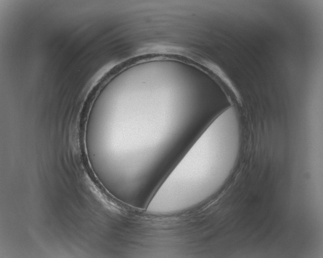 X0000082140972200701190953