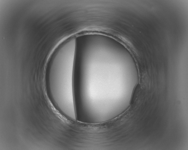 X0000082140976200701190953