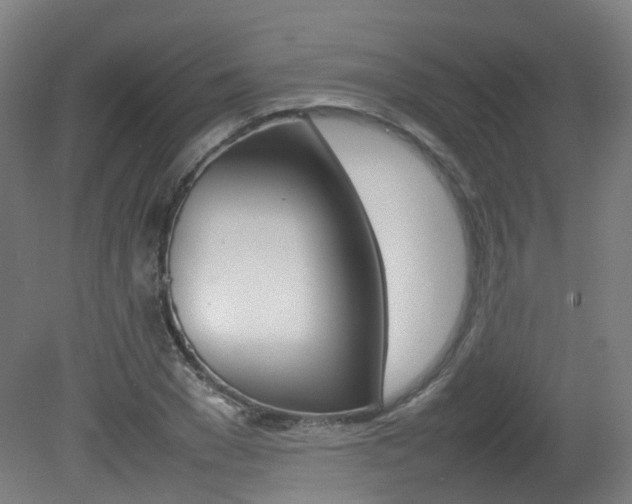 X0000082140977200701190953