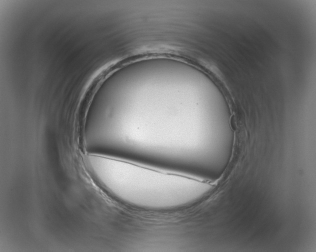 X0000082140979200701190953
