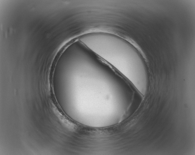 X0000082140980200701190953