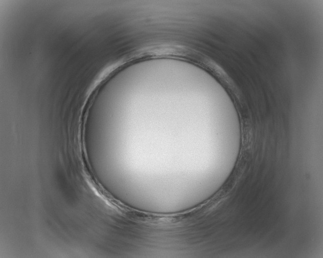 X0000082140986200701190953