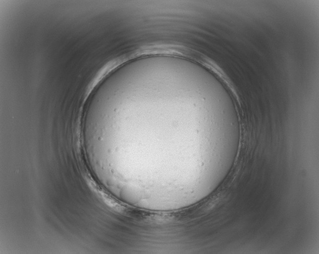 X0000082140994200701190953