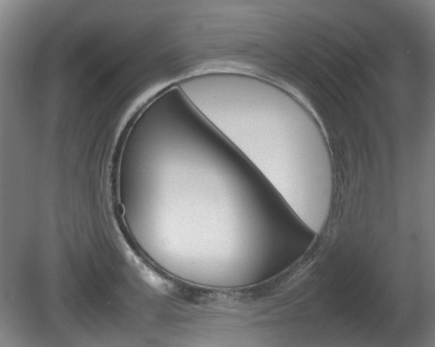 X0000082140995200701190953