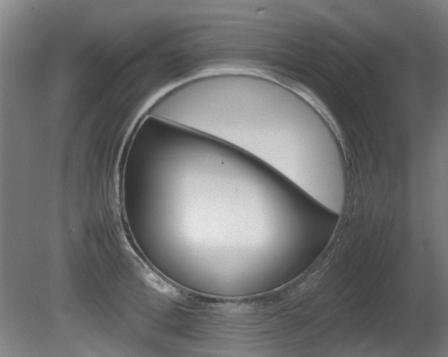 X0000082140996200701190953