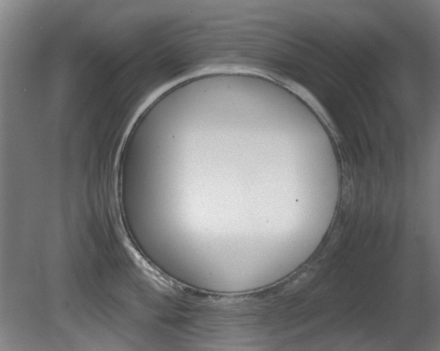 X0000082141004200701190953