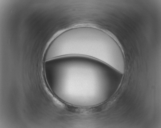 X0000082141005200701190953