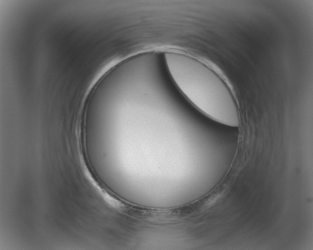 X0000082141007200701190953