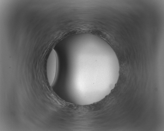 X0000082141009200701190952
