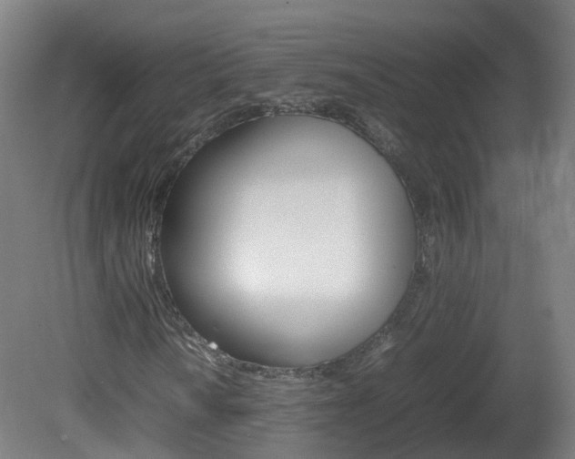 X0000082141010200701190952