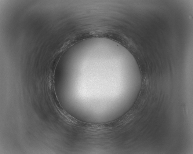 X0000082141012200701190952