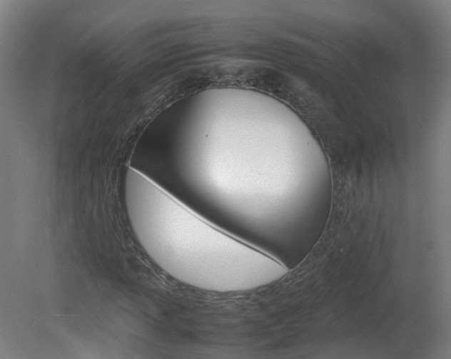 X0000082141013200701190952