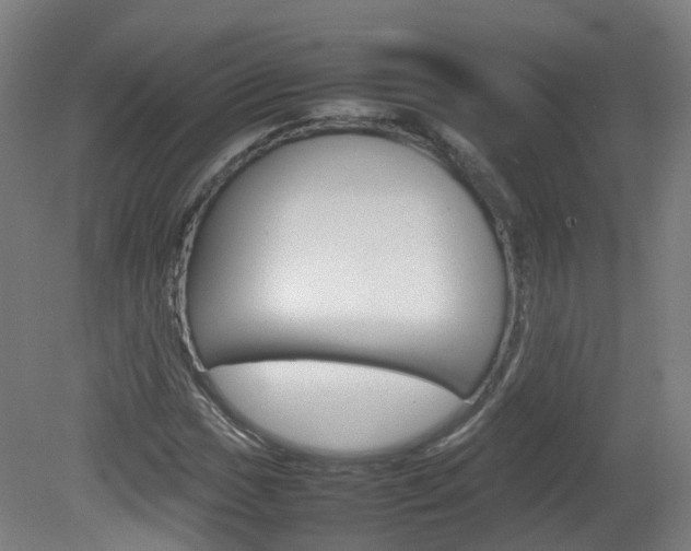 X0000082141017200701190952