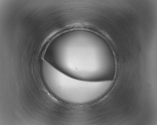 X0000082141018200701190952