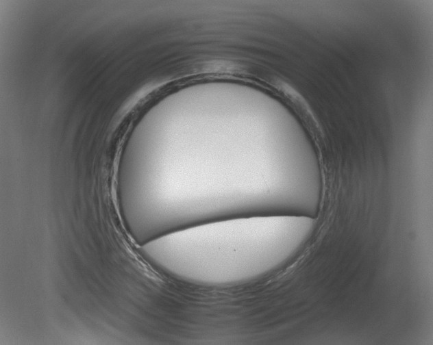 X0000082141019200701190952