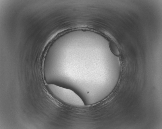 X0000082141023200701190952