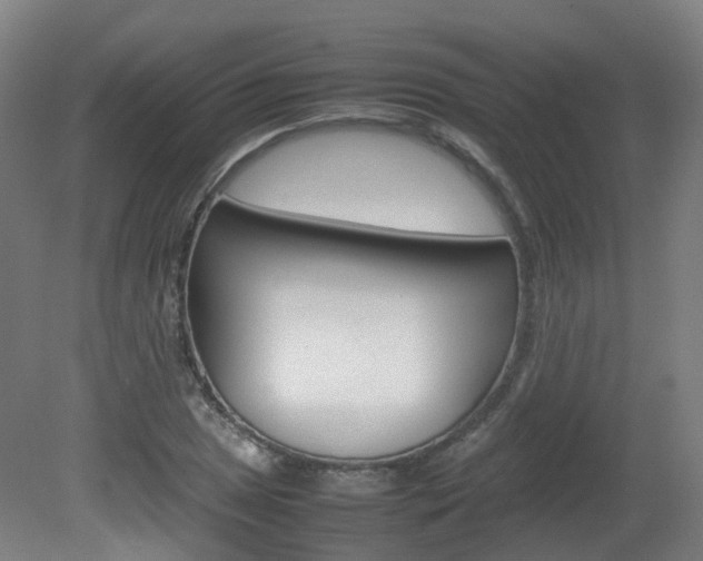 X0000082141025200701190952