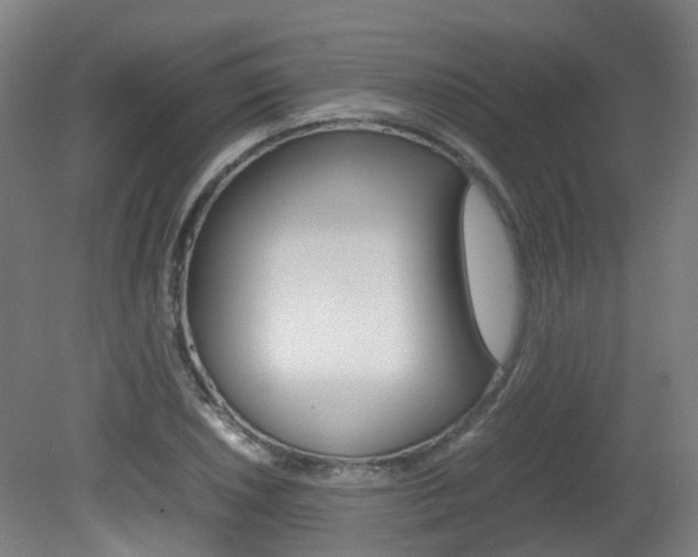 X0000082141026200701190952