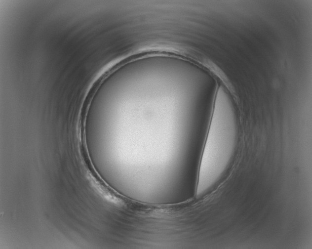 X0000082141028200701190952