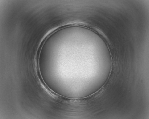 X0000082141032200701190952