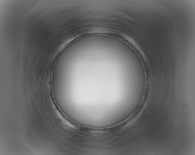 X0000082141033200701190952