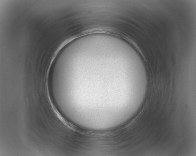 X0000082141034200701190952