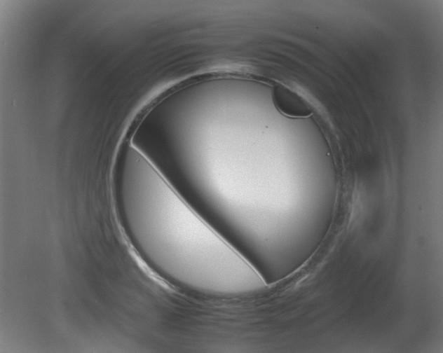 X0000082141037200701190952