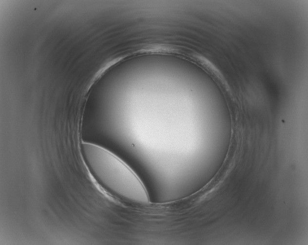 X0000082141041200701190952