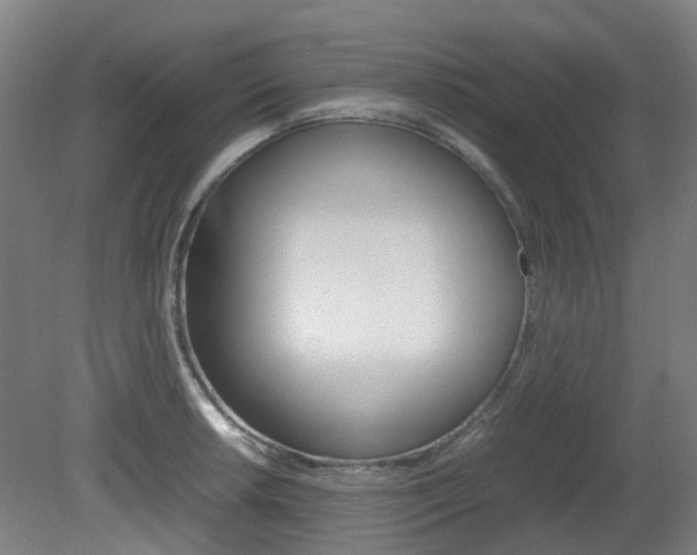 X0000082141042200701190953