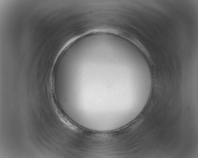 X0000082141044200701190953
