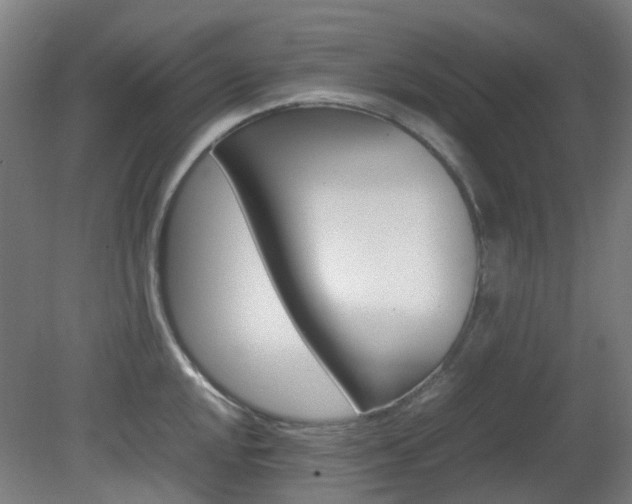 X0000082141048200701190953