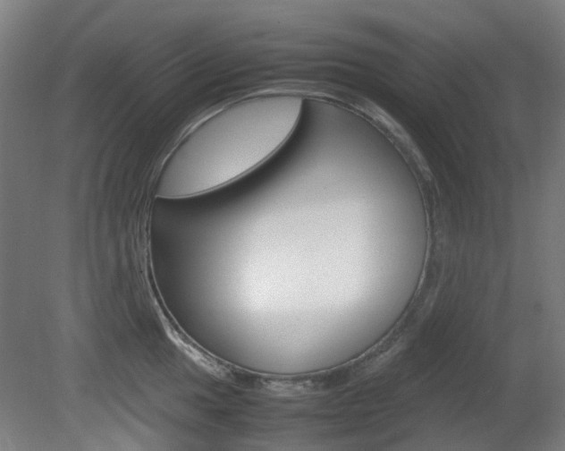 X0000082141049200701190953