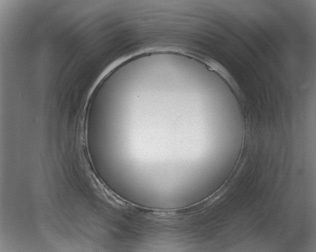 X0000082141052200701190953