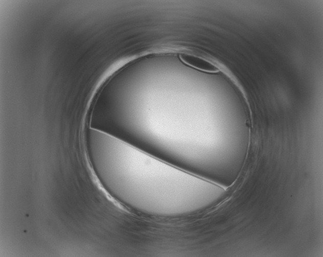 X0000082141053200701190953