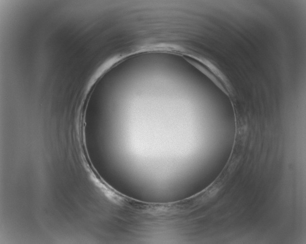 X0000082141054200701190953