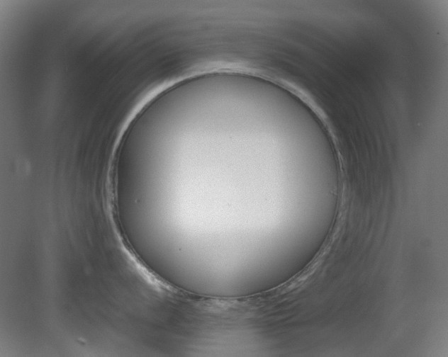 X0000082141056200701190953