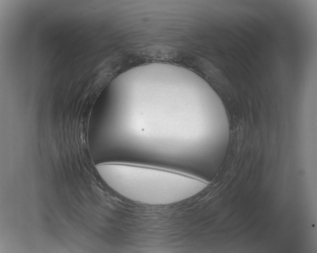 X0000082141058200701190952