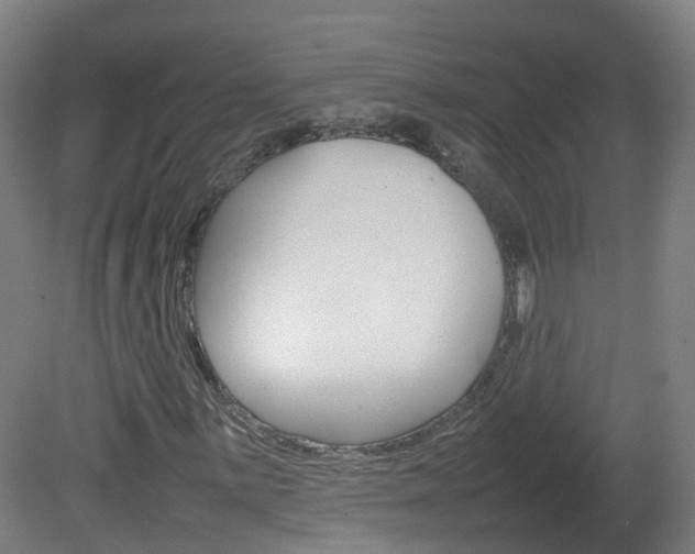 X0000082141059200701190952