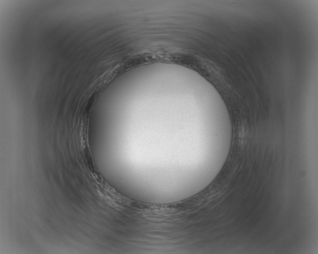 X0000082141060200701190952