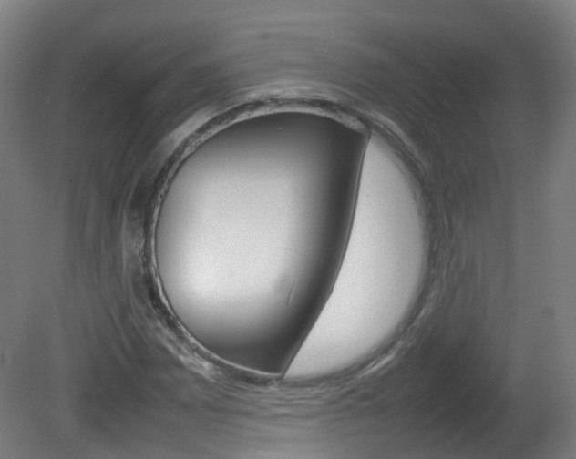 X0000082141065200701190952