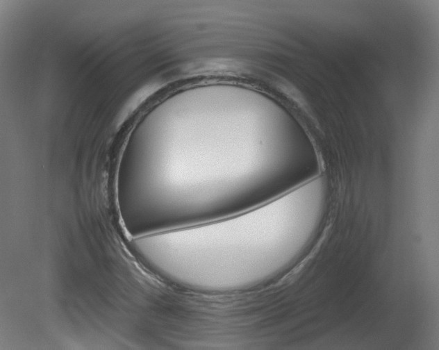 X0000082141066200701190952