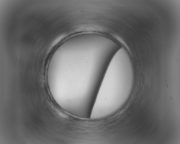 X0000082141071200701190952