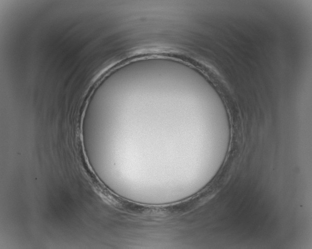 X0000082141073200701190952