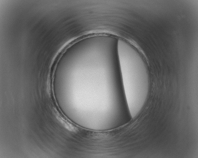 X0000082141076200701190952