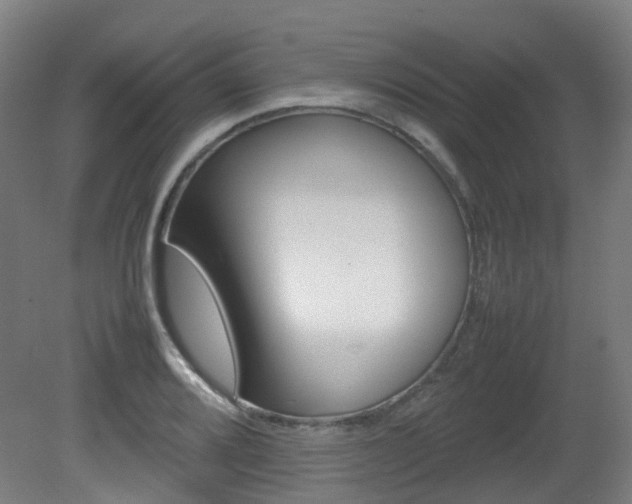 X0000082141080200701190952