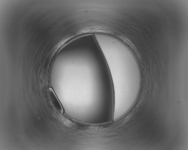 X0000082141081200701190952