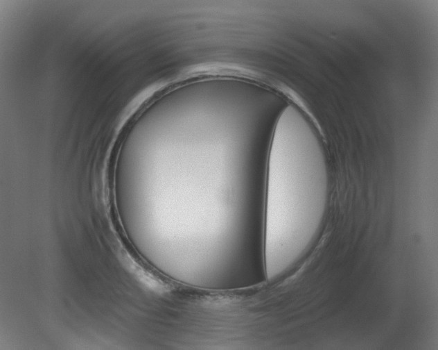 X0000082141082200701190952