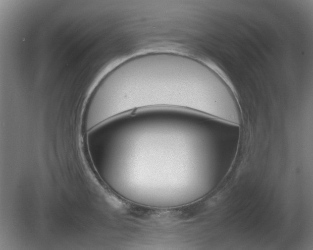 X0000082141093200701190951