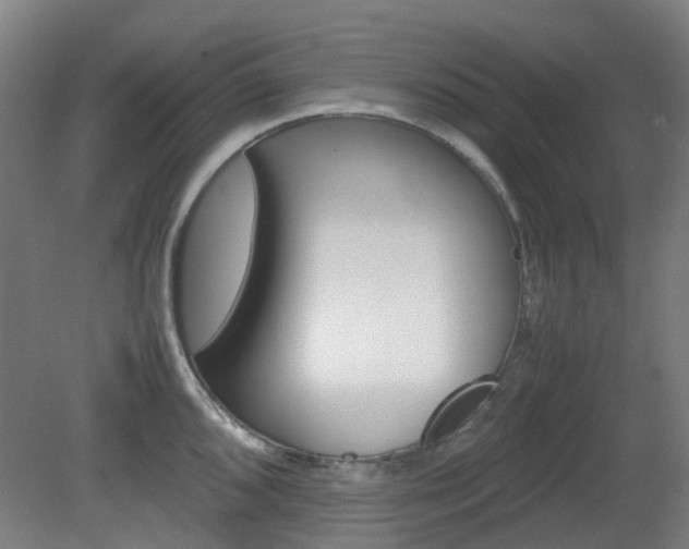 X0000082141096200701190951