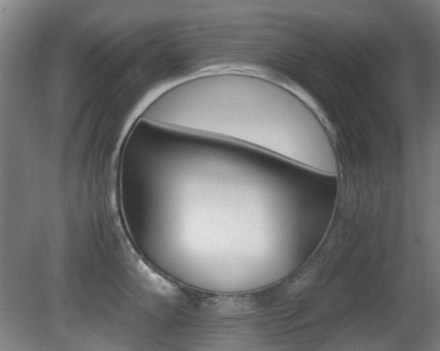 X0000082141102200701190951